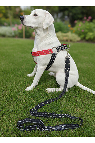 balkonda Dog Chest Harness Adjustable and Leash Set of 2 Medium & Large Breeds
