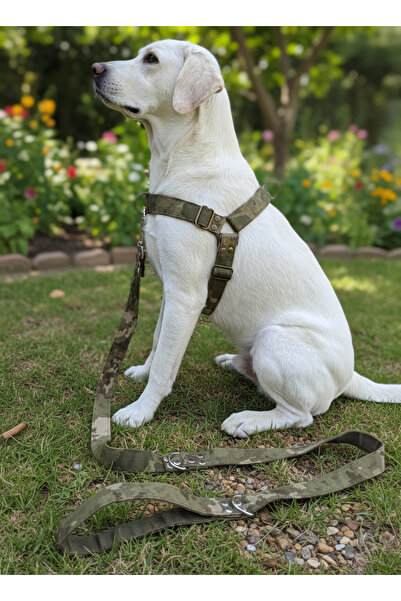 balkonda Dog Chest Harness Adjustable and Leash Set of 2 Medium & Large Breed...