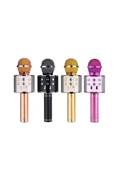 lowell home Ws-858 Karaoke Microphone with Voice Replacement