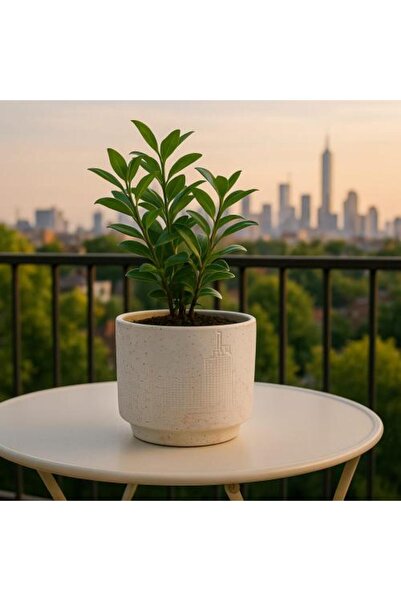 Generis Ceramic Plant Pot with Cityscape Design – A Touch of Natural Luxury