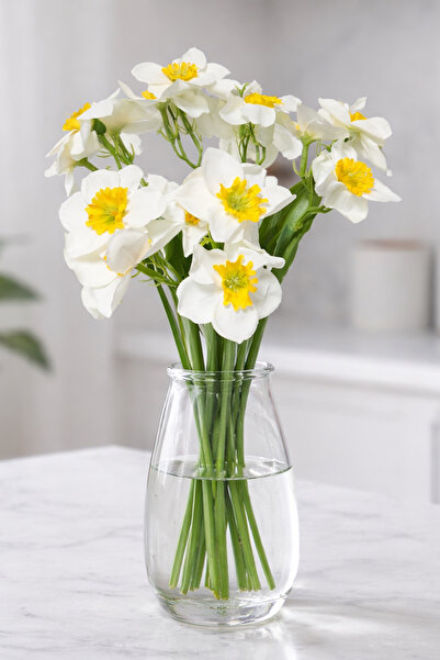 ALSHOP 7'li Yapay Nergis Çiçeği Vazo Çiçeği Gelin Buketi Süsleme Nergiz Buket