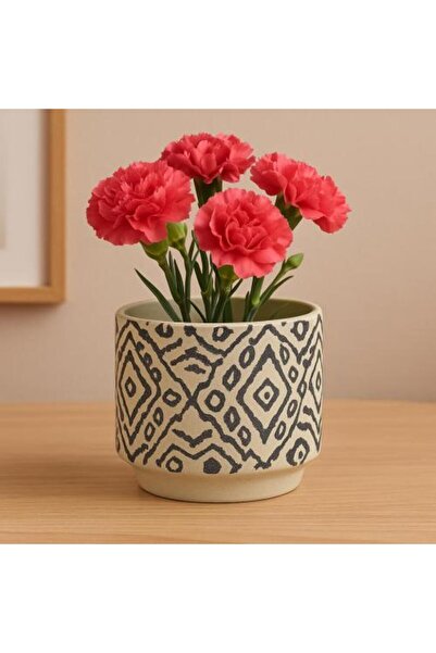 Generis Ceramic Pot with Geometric Pattern