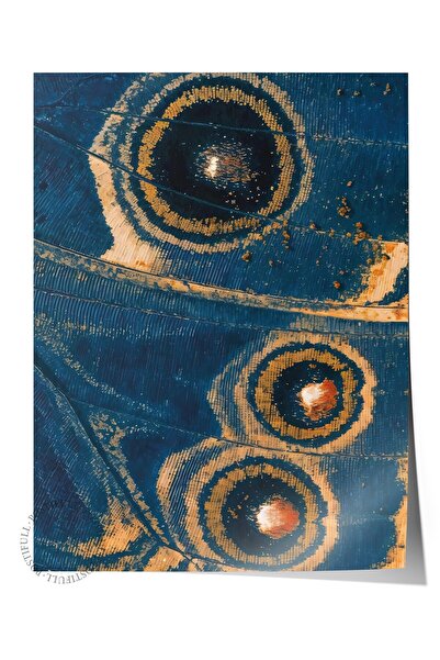 Postifull Zidni poster, poster bez okvira, umetnički otisak, serija rituala, ...