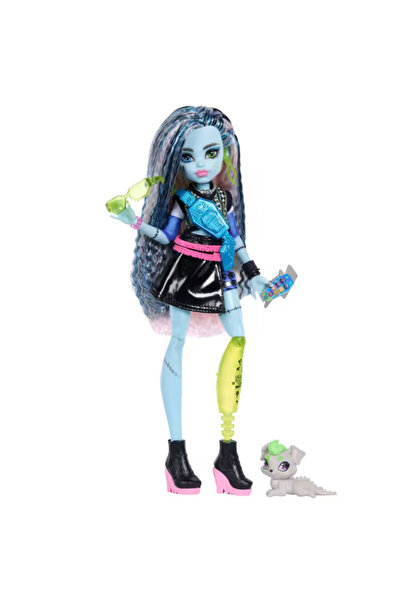 MONSTER HIGH Ana Karakter Bebekler Frankiestein JHK31