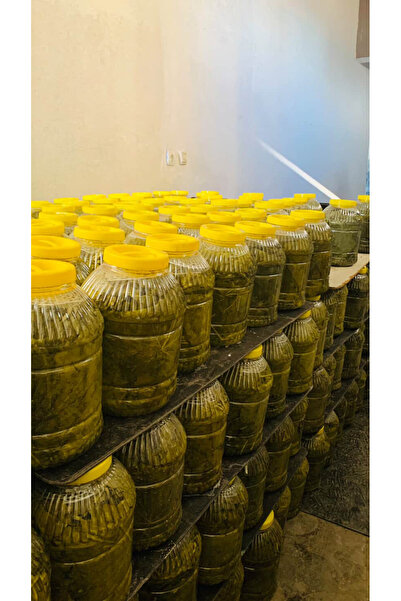 Gülfa Doğal Lezzetler Manisa Sarıgöl Yaprağı Basma Bidon Asma Yaprağı Salamur...