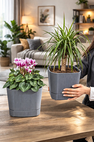 ATA HOME 2 Adet Orta Boy Kare Dekoratif Çiçek Saksı Seti, Plastik Masa Üstü Ç...