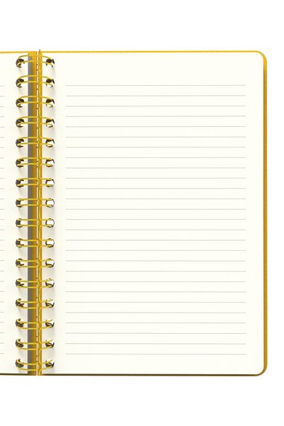 Meli Melek Melimelek Striped Notebook Mustard (Paperback) - Ceyda Düvenci