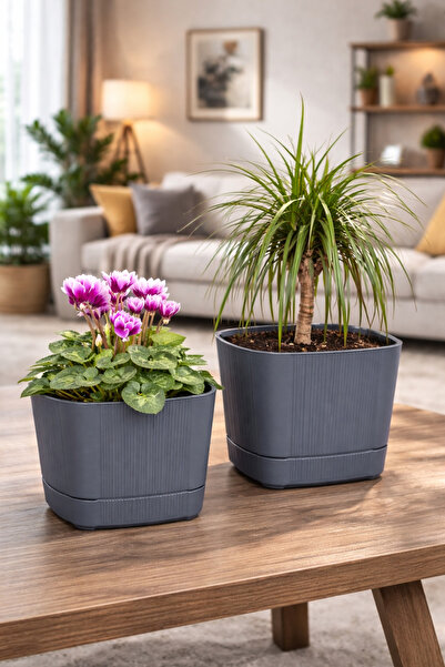 ATA HOME 2 Adet Büyük Boy Dekoratif Plastik Saksı Seti Çiçek Saksısı Masa Üst...