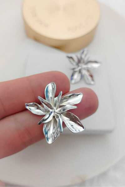 KYOLA DESİGN Spiral Star Silver Color Women's Earrings