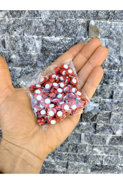 İthal Adhesive Wooden Red Ladybug, 1.3cm, 100 Pieces