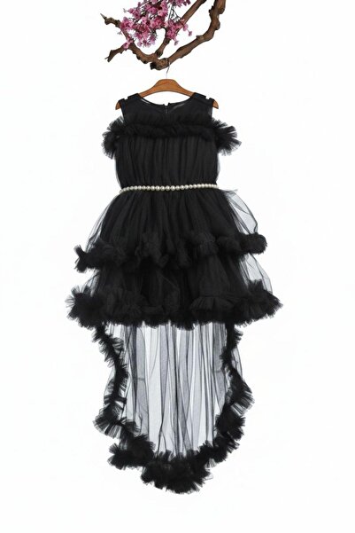 Pina Kids Rochie de prințesă pentru fete, cu trenă, din tul, în straturi