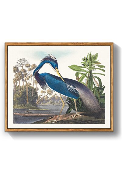 Other Tablou pe Pânză Stârc Albastru - Stil Vintage, Ramă Lemn Masiv - Imprim...