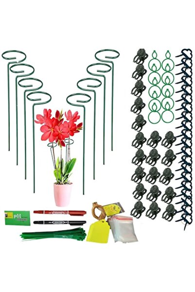 Fycooler Set de 8 suporturi metalice pentru plante 60 cm cu inel