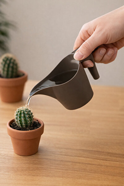 Binbirreyon Mini ghiveci pentru udare cactus Sulak 13cm Plastic AH148