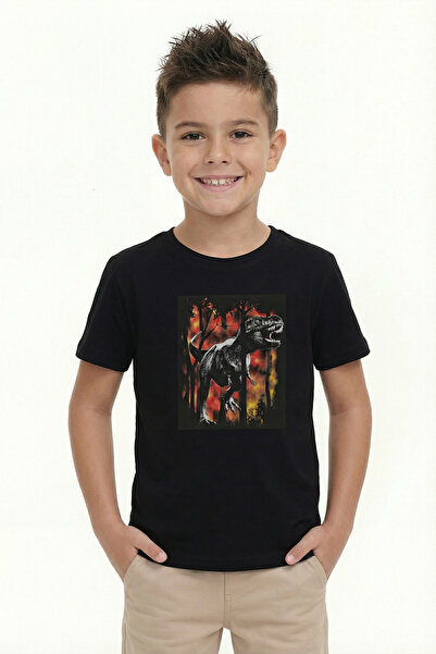 Modmey Printed Boy's Short Sleeve T-Shirt B21