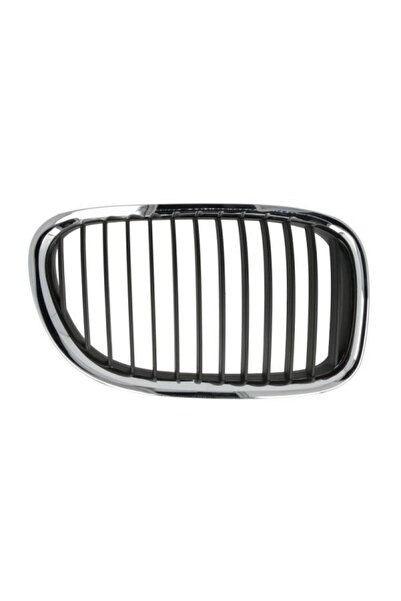 Other شبك كبوت يمين F02