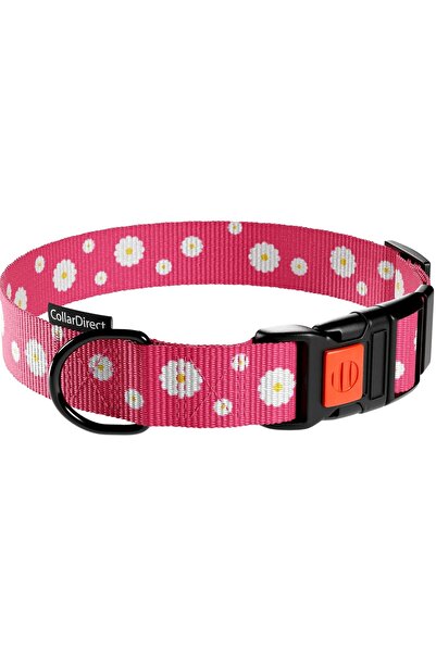 Other Nylon Dog Collar - Adjustable Buckle, Quick Release - 45.7-66 cm, Pink