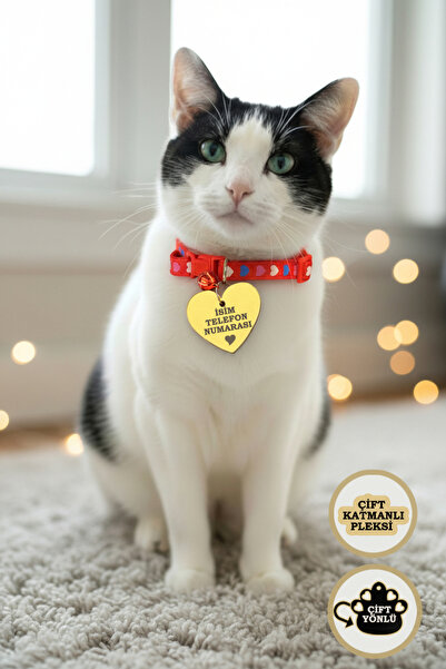 GAGGA GIFT Kişiye Özel Kalp Figürlü Pleksi Kedi & Köpek Künyesi – İsim ve Num...