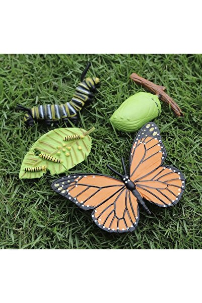 PlayFun Set 4 Piese Ciclul Vietii Fluture - Figurine Educationale si Decorative