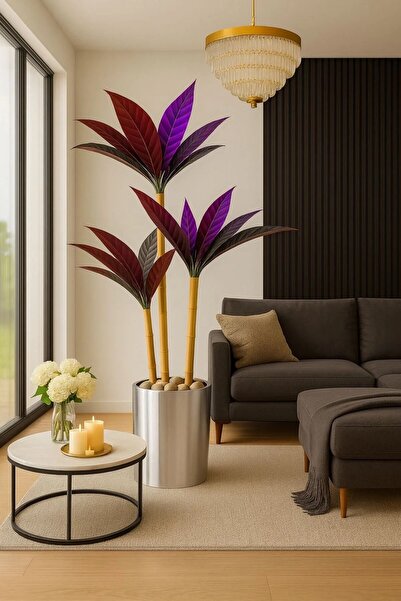 Altun Çiçekcilik KILIC YAPRAĞI 3 GÖVDELİ GUMUS SAKSI DAHIL