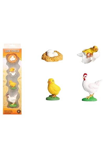 PlayFun 4 mini-figurine pui figurina animal ciclul vietii figurina Montessori...