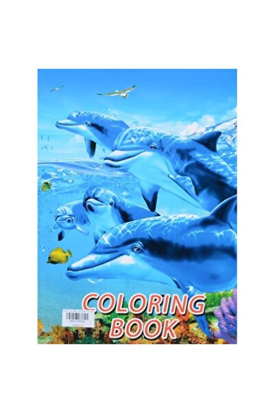 PlayFun Carti de colorat pentru copii cu desene mari