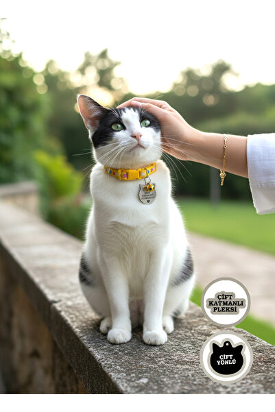 GAGGA GIFT Kişiye Özel Kedi Figürlü Pleksi Kedi & Köpek Künyesi – İsim ve Num...