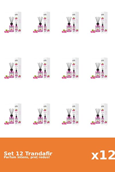 Eyfel Set 12 Odorizant Trandafir, 120 ml