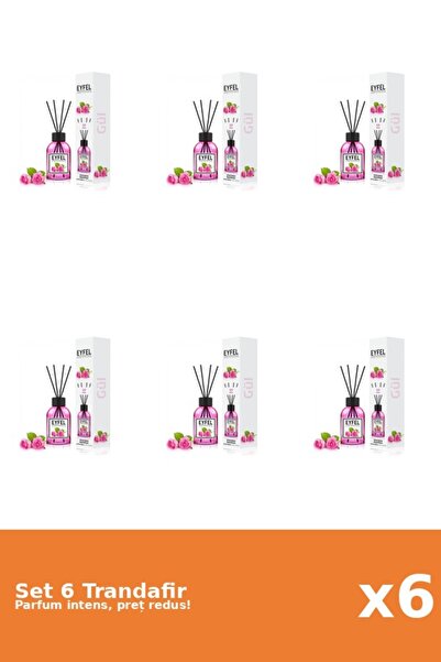Eyfel Set 6 Odorizant Trandafir, 120 ml