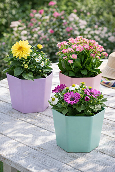 Binbirreyon 3 Adet Hexagon Saksı Seti Altıgen Plastik Renkli Saksı 14x11cm AH150