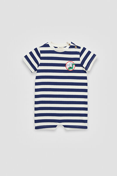 NBT BSC مخطط للأطفال الرضع