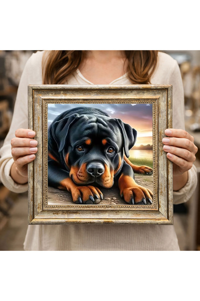 woodsia Διακοσμητικός Τετράγωνος Πίνακας με Κορνίζα DC0069