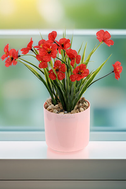 Yapay Çiçek Deposu Sienna Tanzim 23 cm Red in Pink Flowerpot