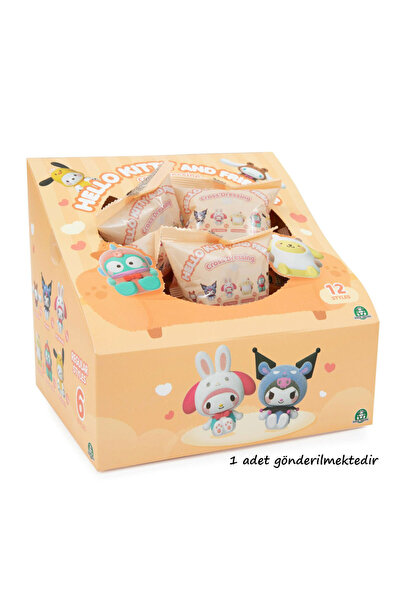 Hello Kitty Sürpriz Kıyafet Degiştirme Partisi HKT46000