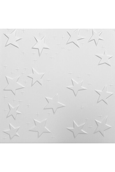 regata Placă decorativă pentru tavan fals 0866 Albă 500x500 mm
