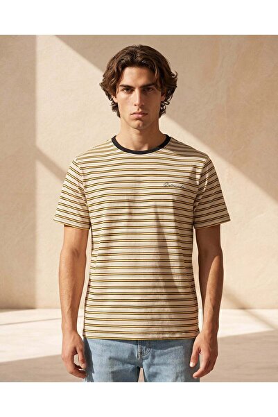REDTAG Men Beige Striped T-Shirt