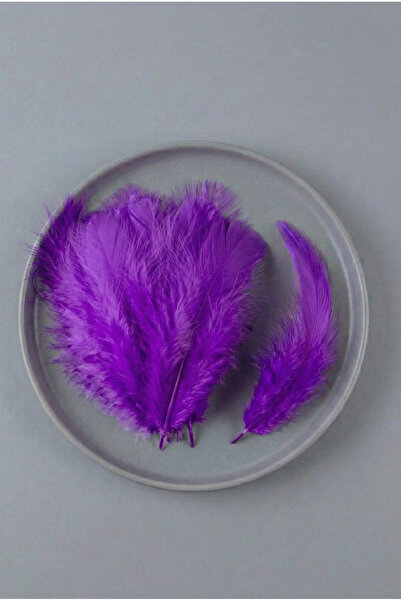 Massaltay ريش طيور أرجواني، عبوة من 100 قطعة، ريش زخرفي صناعي ملون للهوايات و...