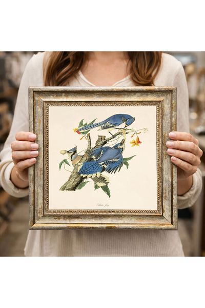 woodsia Decorative Framed Square Table Dk0263