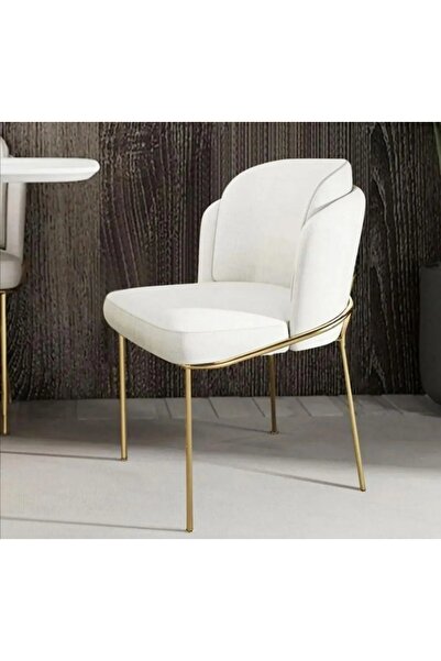 Has Grup Masa Sandalye Çift Papel Metal Ayaklı Sandalye