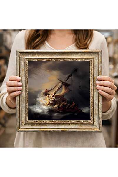 woodsia Decorative Framed Square Painting Dc0222