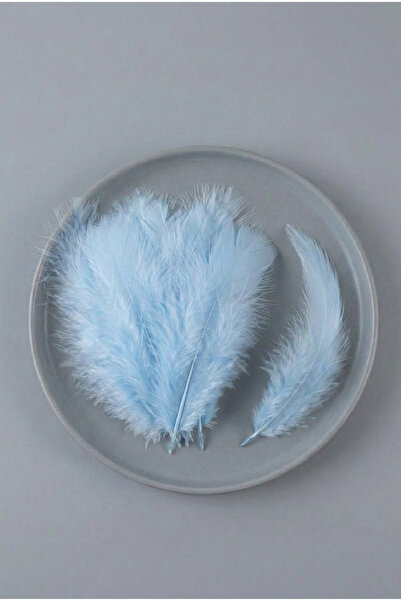 Massaltay Μπλε φτερά πουλιών 100 τεμαχίων σε συσκευασία, πολύχρωμα τεχνητά φτ...