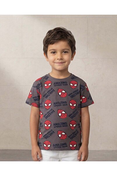 REDTAG تي شيرت رمادي مطبوع للأولاد