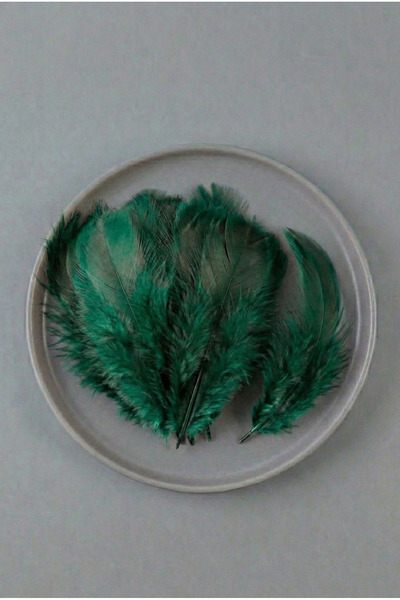 Massaltay ريش طيور أخضر، عبوة من 100 قطعة، ريش زخرفي صناعي ملون للهوايات والأ...