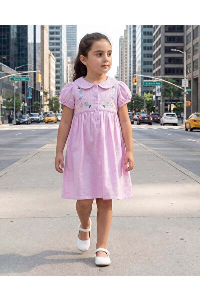 REDTAG Girls Lilac Embroidered Collar Dress