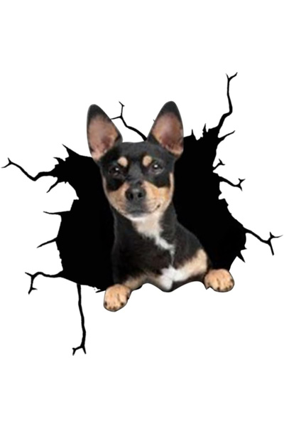 MaffStuff Sticker decorativ câine Chihuahua autoadeziv, 30 x 30 cm