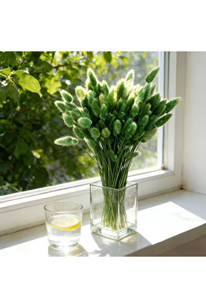 Dekora Çiçek Dried Cotton Grass Rabbit Tail Bridal Bouquet Arrangement Flower...
