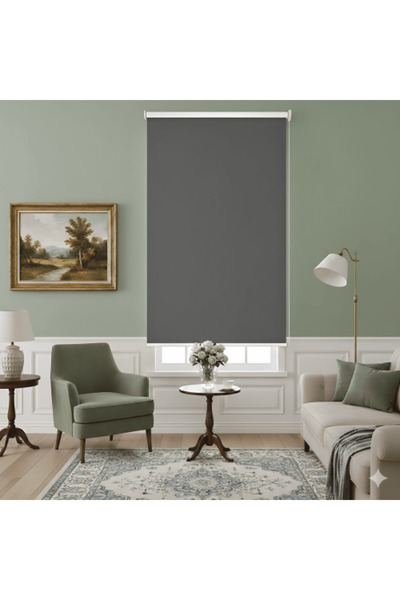 Generic Dark Gray Light Blocking Roller Curtain