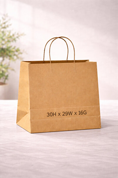 PureEarth Paper Bag Black Twisted Handle -Medium (34H x 34W x 18G) – 80 GSM –...