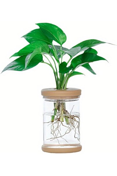 Generic 4.7-inch-tall indoor gardening vase with a cover (no plants included).