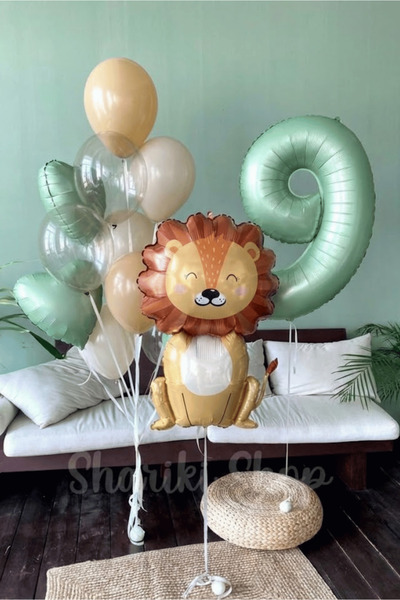 Bunloon Retro Color 9 Year Old Lion Themed 10 Piece Balloon Set